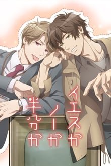 კი, არა, შესაძლოა / (Yes, No, or Maybe?)