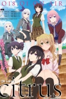 ციტრუსი / Citrus, シトラス