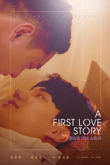 პირველი სიყვარულის ამბავი / A First Love Story